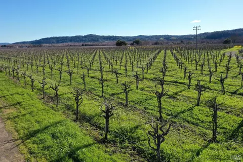 22575 River Rd, Geyserville, CA 95441 photo 34
