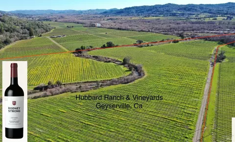22575 River Rd, Geyserville, CA 95441 photo 6