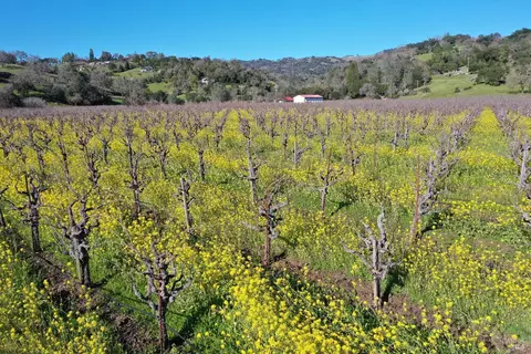 22575 River Rd, Geyserville, CA 95441 photo 27
