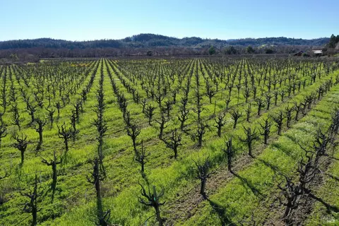 22575 River Rd, Geyserville, CA 95441 photo 49