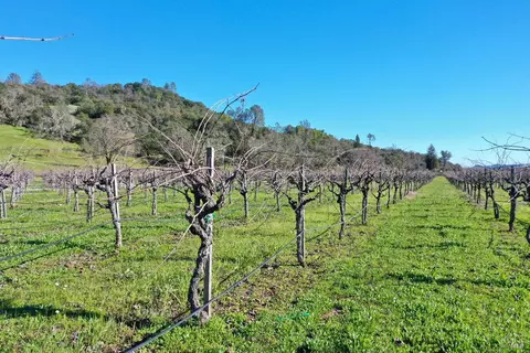22575 River Rd, Geyserville, CA 95441 photo 54