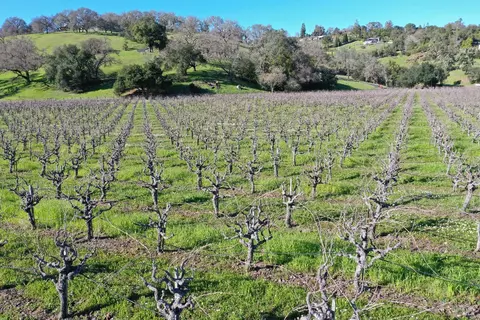 22575 River Rd, Geyserville, CA 95441 photo 30