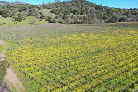 22575 River Rd, Geyserville, CA 95441 photo 25