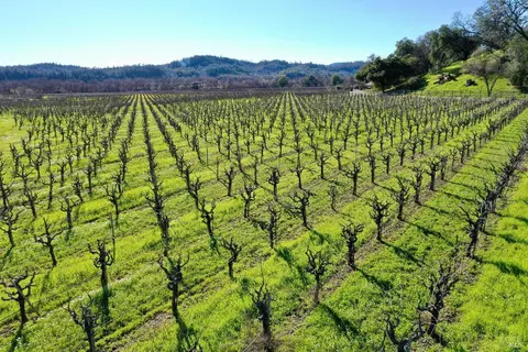22575 River Rd, Geyserville, CA 95441 photo 48