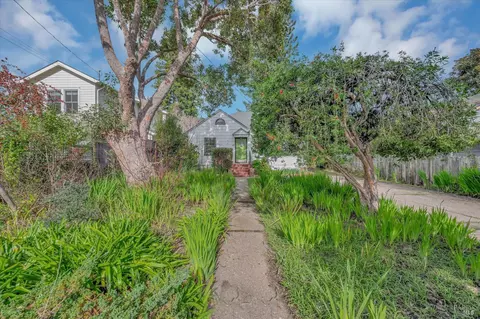 155 Elm Ave, Mill Valley, CA 94941 photo 28