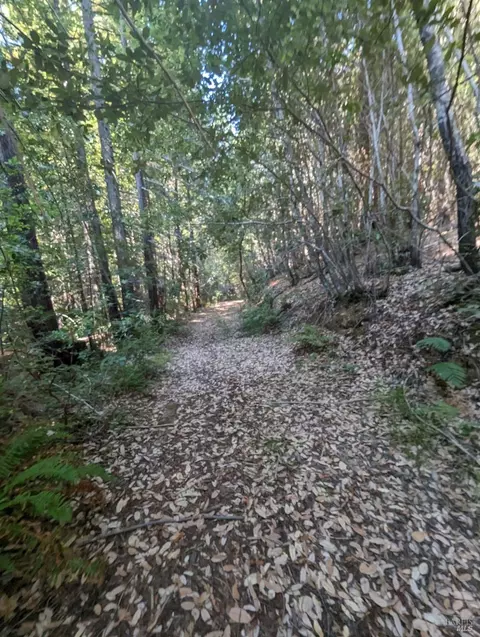23330 Fort Ross Rd, Cazadero, CA 95421