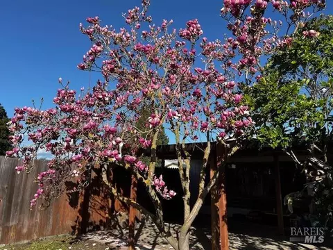 Exterior - 214 Mayo Ave, Vallejo, CA 94590 photo 10 of 23