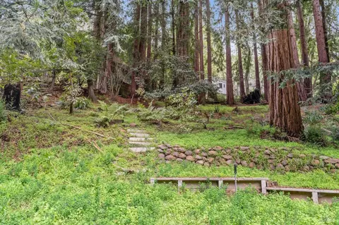 316 W Blithedale Ave, Mill Valley, CA 94941 photo 12