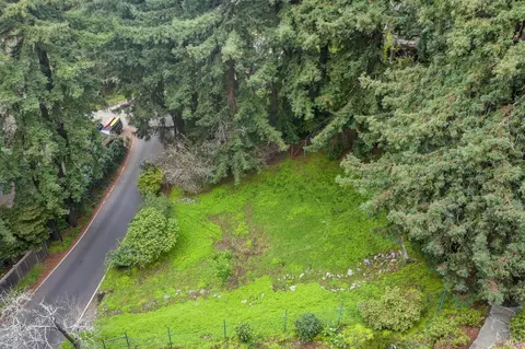 316 W Blithedale Ave, Mill Valley, CA 94941 photo 9