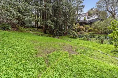 316 W Blithedale Ave, Mill Valley, CA 94941 photo 7