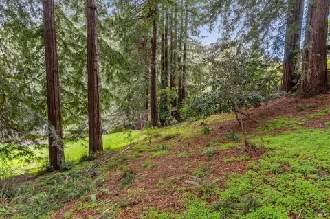 316 W Blithedale Ave, Mill Valley, CA 94941 photo 16