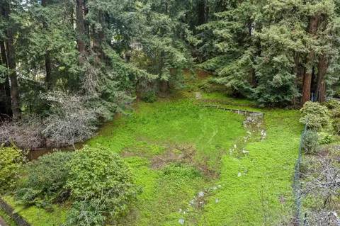 316 W Blithedale Ave, Mill Valley, CA 94941 photo 5