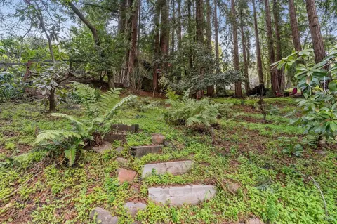 316 W Blithedale Ave, Mill Valley, CA 94941 photo 13