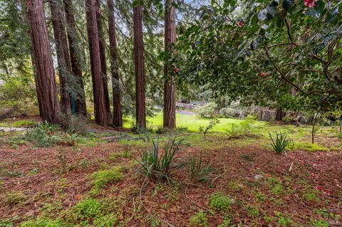 316 W Blithedale Ave, Mill Valley, CA 94941 photo 17
