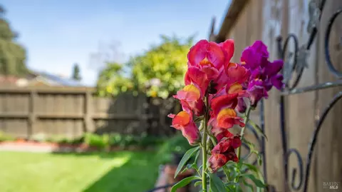 1305 Jacobs Pl, Dixon, CA 95620 photo 31