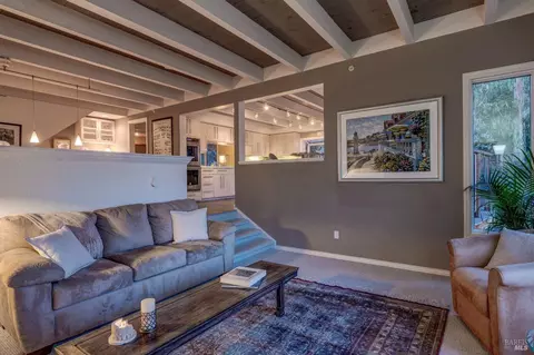 Living - 1019 Erica Rd, Mill Valley, CA 94941 photo 6 of 6