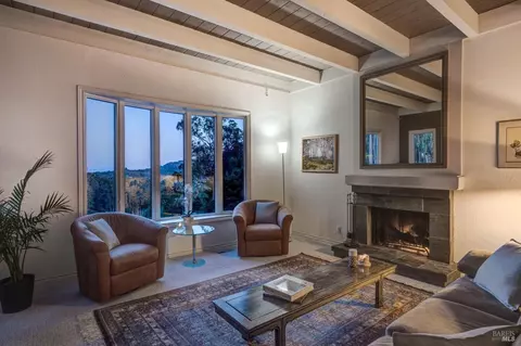 Living - 1019 Erica Rd, Mill Valley, CA 94941 photo 5 of 6