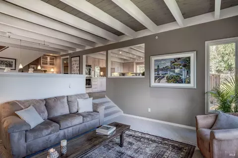 Living - 1019 Erica Rd, Mill Valley, CA 94941 photo 2 of 6