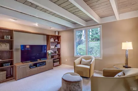 Living - 1019 Erica Rd, Mill Valley, CA 94941 photo 3 of 6
