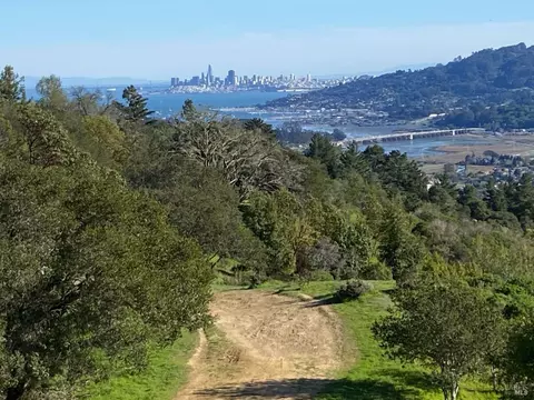 View/Area - 1019 Erica Rd, Mill Valley, CA 94941 photo 9 of 11
