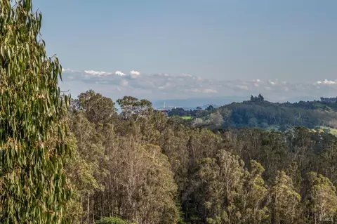 View/Area - 1019 Erica Rd, Mill Valley, CA 94941 photo 2 of 11