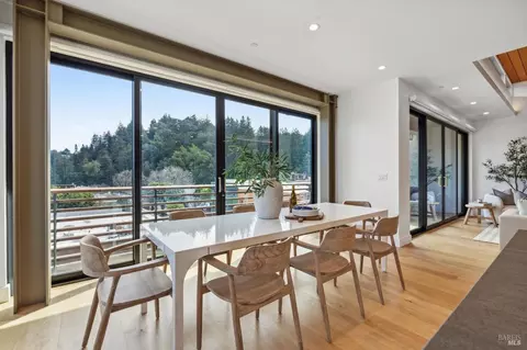 41 Lovell Ave, Mill Valley, CA 94941 photo 6