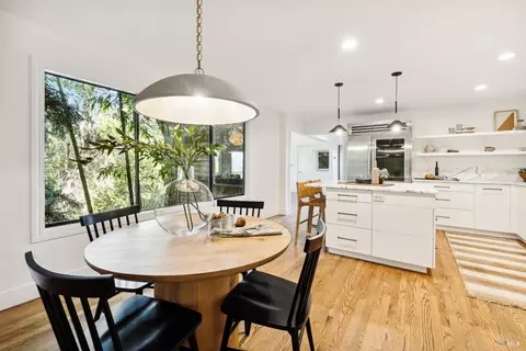 Dining - 169 Bolsa Ave, Mill Valley, CA 94941 photo 1 of 8