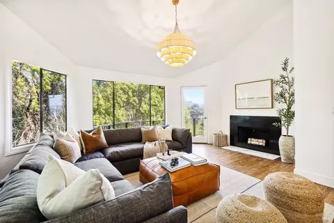 Living - 169 Bolsa Ave, Mill Valley, CA 94941 photo 2 of 10