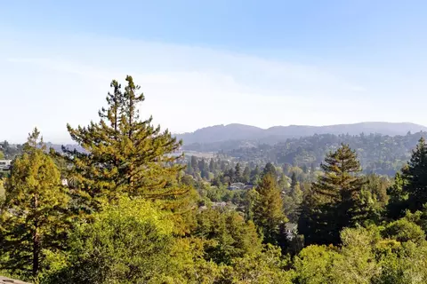 View/Area - 169 Bolsa Ave, Mill Valley, CA 94941 photo 1 of 1