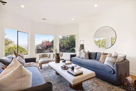 Living - 169 Bolsa Ave, Mill Valley, CA 94941 photo 8 of 10