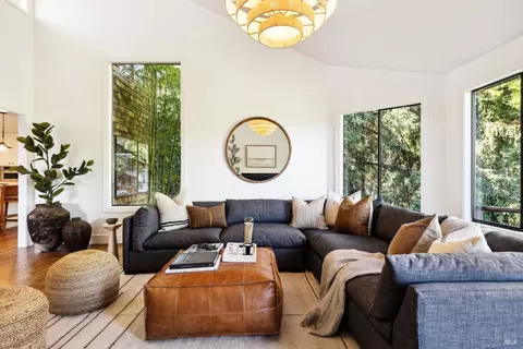 169 Bolsa Ave, Mill Valley, CA 94941