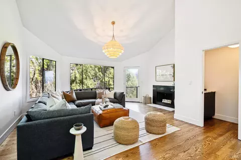 Living - 169 Bolsa Ave, Mill Valley, CA 94941 photo 3 of 10