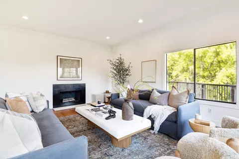 Living - 169 Bolsa Ave, Mill Valley, CA 94941 photo 9 of 10