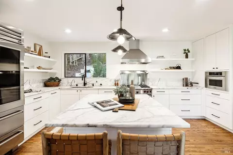 Kitchen - 169 Bolsa Ave, Mill Valley, CA 94941 photo 7 of 7