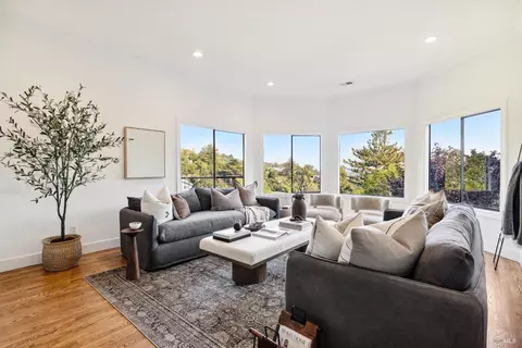 Living - 169 Bolsa Ave, Mill Valley, CA 94941 photo 6 of 10