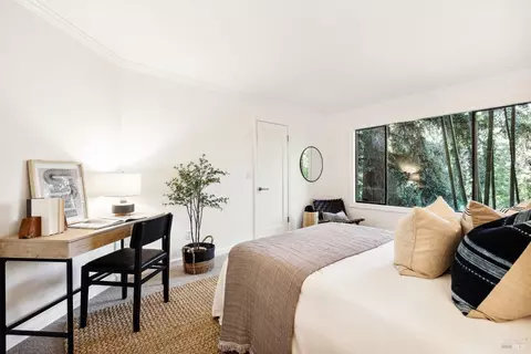 Bedroom - 169 Bolsa Ave, Mill Valley, CA 94941 photo 11 of 11