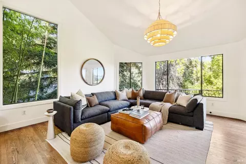 Living - 169 Bolsa Ave, Mill Valley, CA 94941 photo 1 of 10