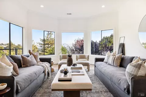 Living - 169 Bolsa Ave, Mill Valley, CA 94941 photo 7 of 10