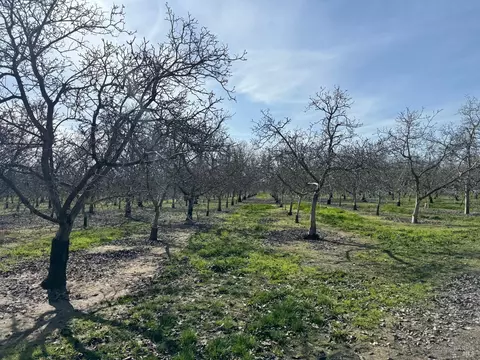 4766 Thorpe Rd, Winters, CA 95694 photo 3
