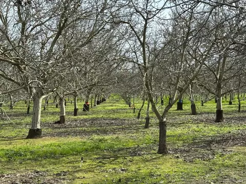 4766 Thorpe Rd, Winters, CA 95694