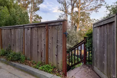Exterior - 480 Molino Ave, Mill Valley, CA 94941 photo 12 of 13