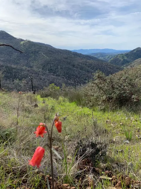 0 Sage Canyon Rd, Saint Helena, CA 94574