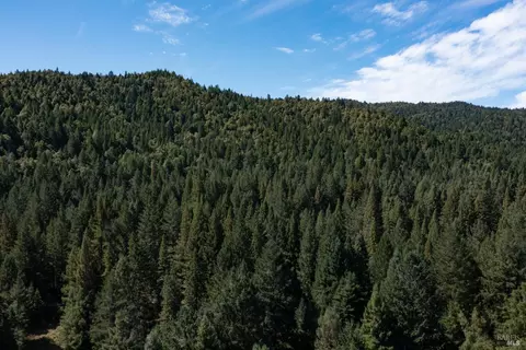 View/Area - 13500 Branscomb Rd, Branscomb, CA 95417 photo 7 of 9