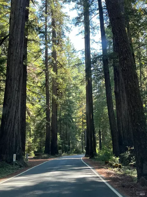 View/Area - 13500 Branscomb Rd, Branscomb, CA 95417 photo 9 of 9