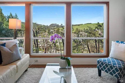38 Shelley Dr, Mill Valley, CA 94941 photo 42