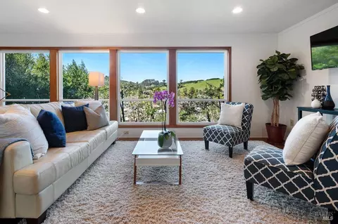 38 Shelley Dr, Mill Valley, CA 94941 photo 28