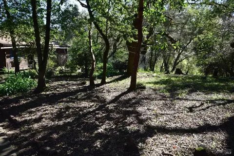 Exterior - 4042 Bones Rd, Sebastopol, CA 95472 photo 18 of 30