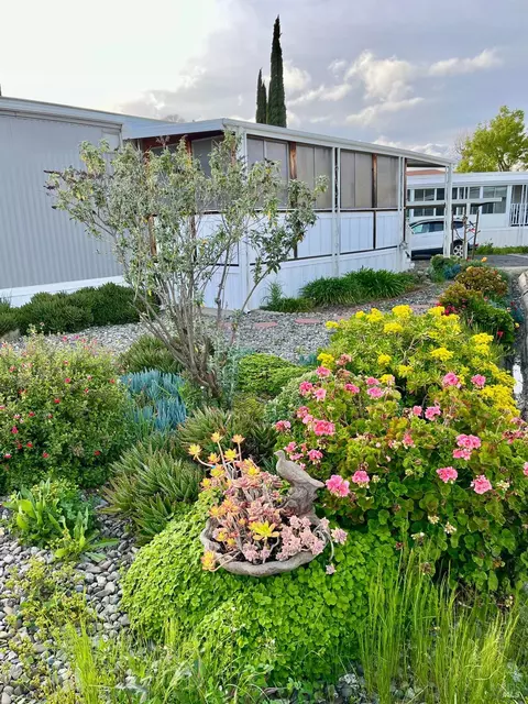 6 Lemon Tree Cir, Vacaville, CA 95687 photo 10