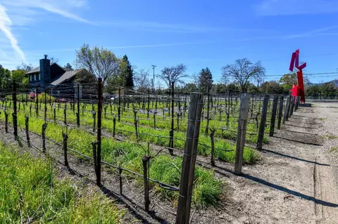 View/Area - 4076 Howard Ln, Napa, CA 94558 photo 15 of 16