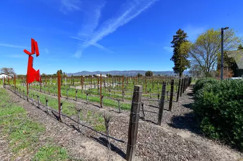 View/Area - 4076 Howard Ln, Napa, CA 94558 photo 16 of 16